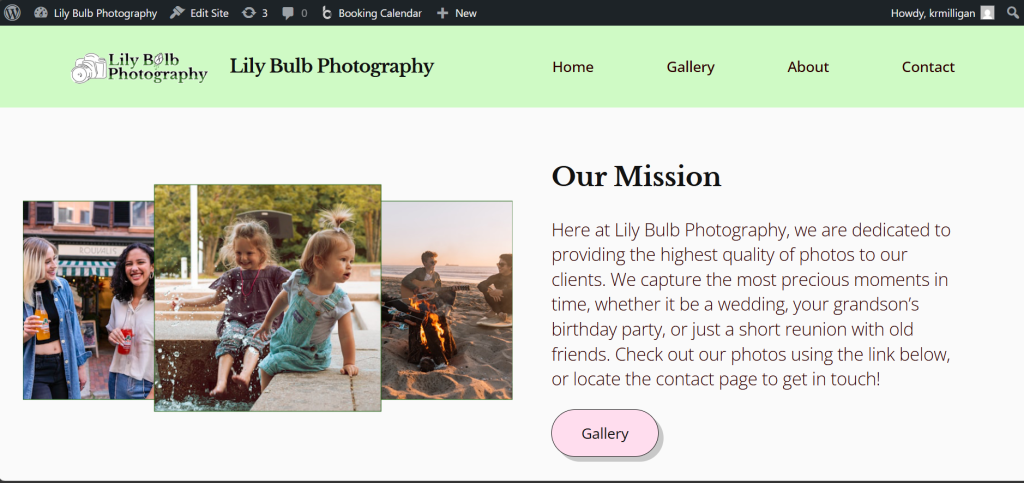 Lily Bulb Photography site